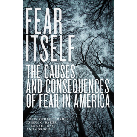 Fear Itself: The Causes and Consequences of Fear in America