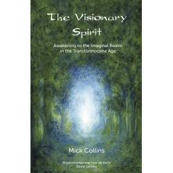 The Visionary Spirit: Awakening to the Imaginal Realm in the Transformocene Age