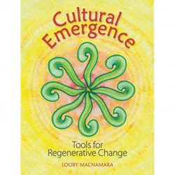 Cultural Emergence: A Toolkit for Transforming Ourselves & the World