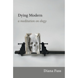 Dying Modern: A Meditation on Elegy