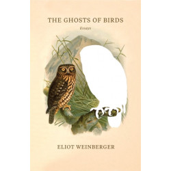 The Ghosts of Birds