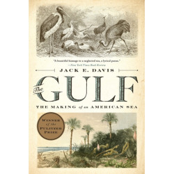 The Gulf: The Making of An American Sea
