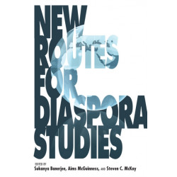 New Routes for Diaspora Studies