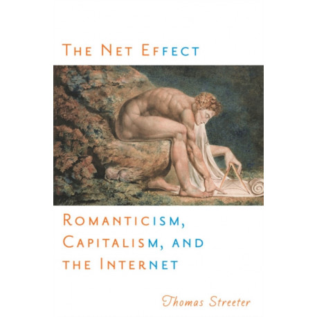 The Net Effect: Romanticism, Capitalism, and the Internet