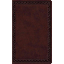 ESV Large Print Value Thinline Bible