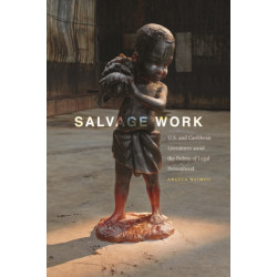 Salvage Work: U.S. and Caribbean Literatures Amid the Debris of Legal Personhood