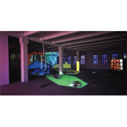 Diana Thater: Knots + Surfaces: Knots and Surfaces