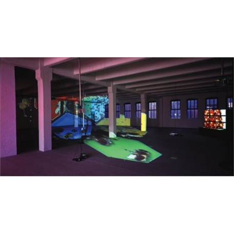 Diana Thater: Knots + Surfaces: Knots and Surfaces