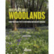 Irreplaceable Woodlands: Some Practical Steps to Restoring our Wildlife Heritage