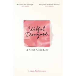 Wilful Disregard: A Novel About Love