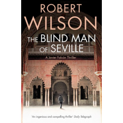 The Blind Man of Seville