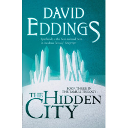 The Hidden City