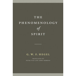 The Phenomenology of Spirit