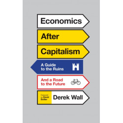 Economics for Everyone: A Short Guide to the Economics of Capitalism