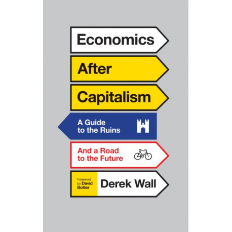 Economics for Everyone: A Short Guide to the Economics of Capitalism