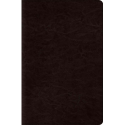 ESV Reference Bible, Red Letter