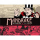 Mandrake the Magician: Fred Fredericks Sundays Vol. 1: The Meeting of Mandrake and Lothar: Fred Fredericks Sundays Volume 1: The Meeting of Mandrake and Lothar