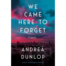 We Came Here to Forget: A Novel