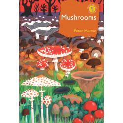 Mushrooms: The natural and human world of British fungi