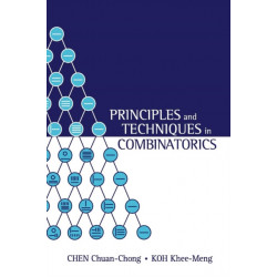 Principles And Techniques In Combinatorics