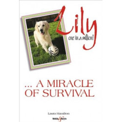Lily: One in a Million: ... a Miracle of Survival