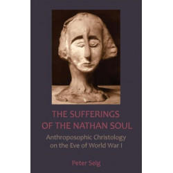 The Sufferings of the Nathan Soul
