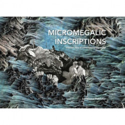 Micromegalic Inscriptions. A Rococo Story of Contemporary Engravings