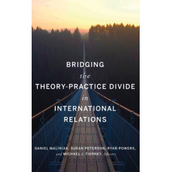 Bridging the Theory-Practice Divide in International Relations