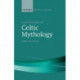 A Dictionary of Celtic Mythology