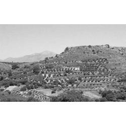 The Galatas Survey: Socio-Economic and Political Development of a Contested Territory in Central Crete during the Neolithic to Ottoman Periods