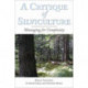 A Critique of Silviculture: Managing for Complexity