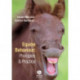Equine Behaviour: Principles and Practice