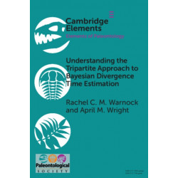 Understanding the Tripartite Approach to Bayesian Divergence Time Estimation