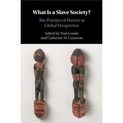 What Is a Slave Society?: The Practice of Slavery in Global Perspective