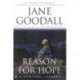 Reason For Hope