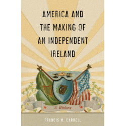 America and the Making of an Independent Ireland: A History