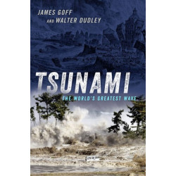 Tsunami: The World's Greatest Waves