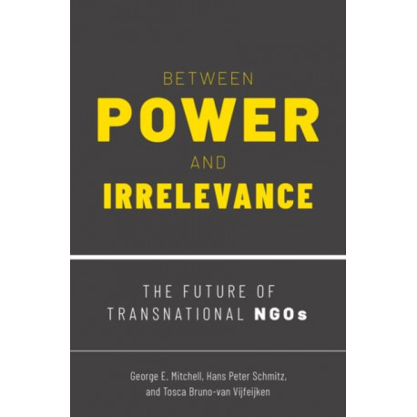 Between Power and Irrelevance: The Future of Transnational NGOs