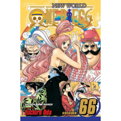 One Piece, Vol. 66