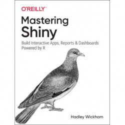 Mastering Shiny: Build Interactive Apps, Reports, and Dashboards Powered by R
