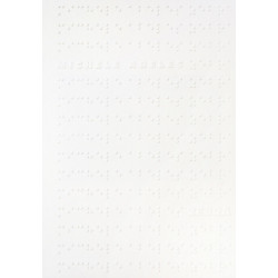 Michele Abeles: Zebra: Zebra