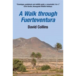 A Walk Through Fuerteventura