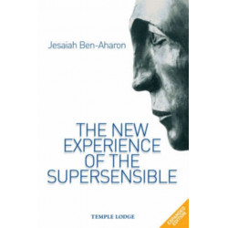 The New Experience of the Supersensible