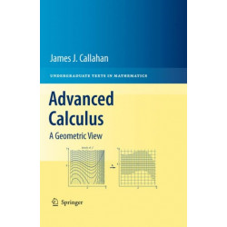 Advanced Calculus: A Geometric View