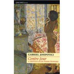 Contre-Jour: A triptych after Pierre Bonnard