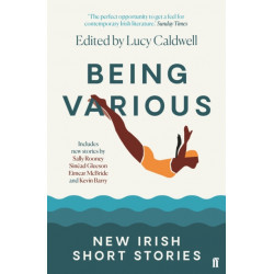 Being Various: New Irish Short Stories