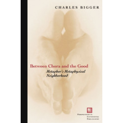 Between Chora and the Good: Metaphor's Metaphysical Neighborhood