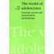 The World of Adolescence: Literature, Society and Psychoanalytic Psychotherapy