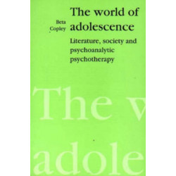 The World of Adolescence: Literature, Society and Psychoanalytic Psychotherapy