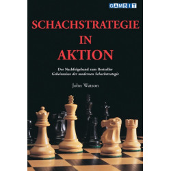 Schachstrategie in Aktion